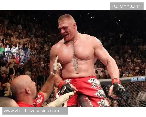 UFC巅峰对决锤子与布洛克谁能称霸擂台引发热议